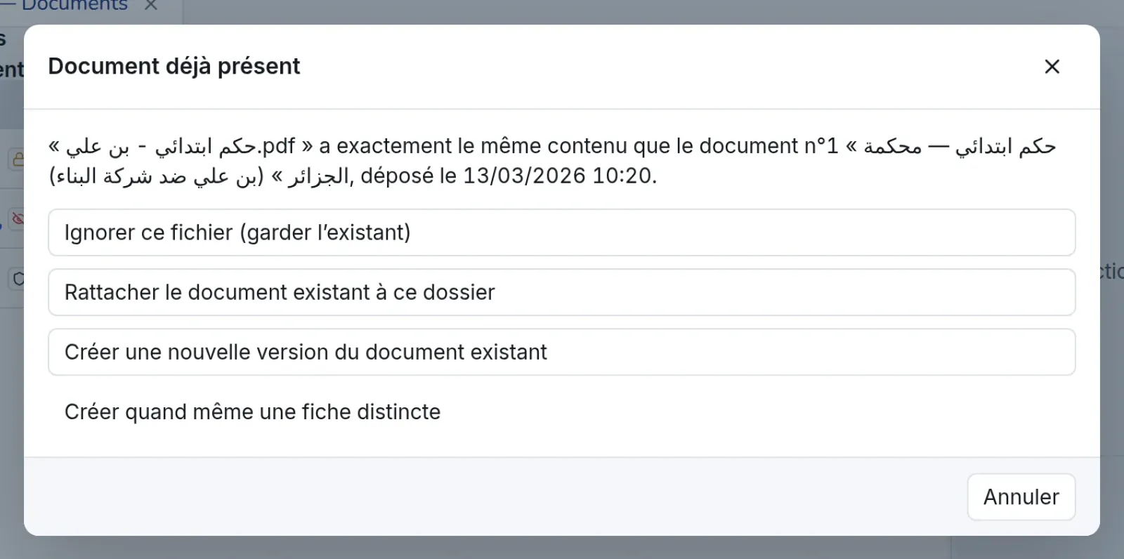 Fenêtre « Document déjà présent » avec ses quatre choix